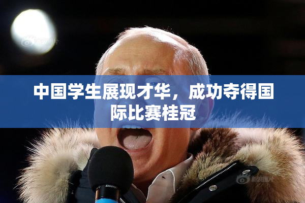 中国学生展现才华，成功夺得国际比赛桂冠