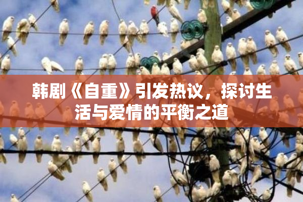 韩剧《自重》引发热议，探讨生活与爱情的平衡之道