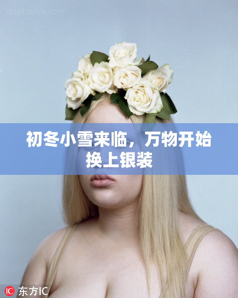 初冬小雪来临，万物开始换上银装