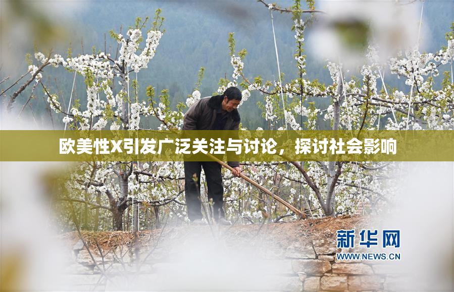 欧美性X引发广泛关注与讨论，探讨社会影响