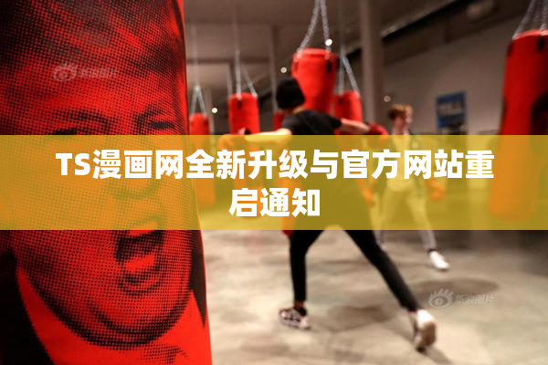 TS漫画网全新升级与官方网站重启通知