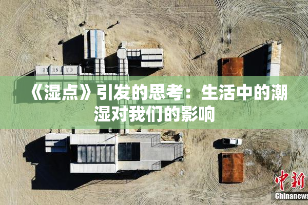 《湿点》引发的思考：生活中的潮湿对我们的影响