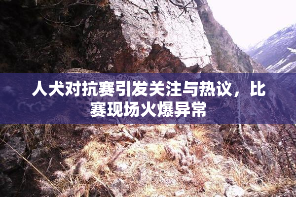 人犬对抗赛引发关注与热议，比赛现场火爆异常