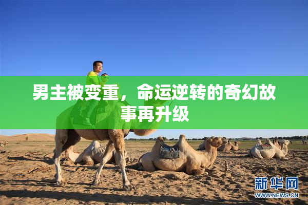 男主被变重，命运逆转的奇幻故事再升级