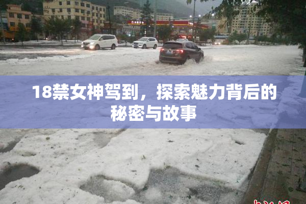 18禁女神驾到，探索魅力背后的秘密与故事
