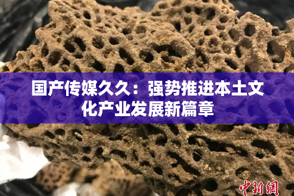 国产传媒久久：强势推进本土文化产业发展新篇章