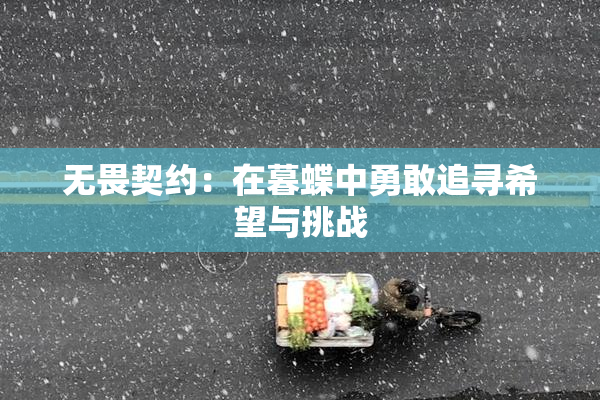 无畏契约：在暮蝶中勇敢追寻希望与挑战