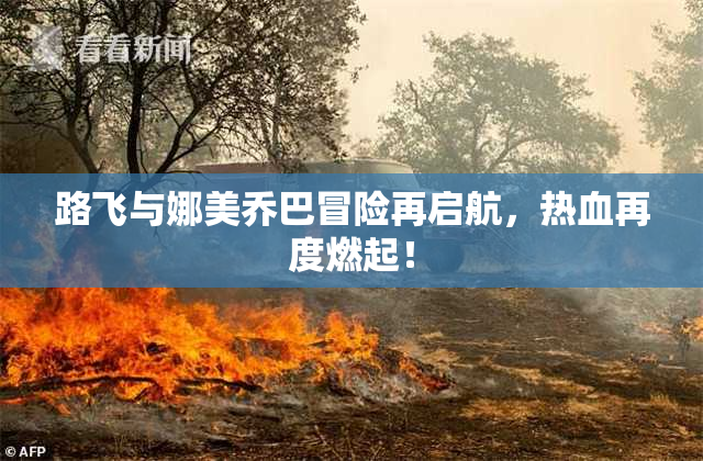 路飞与娜美乔巴冒险再启航，热血再度燃起！