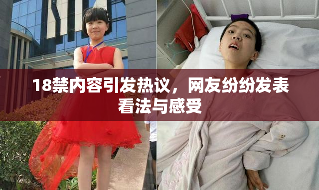 18禁内容引发热议，网友纷纷发表看法与感受