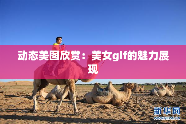 动态美图欣赏：美女gif的魅力展现