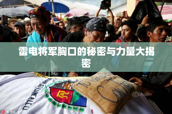 雷电将军胸口的秘密与力量大揭密