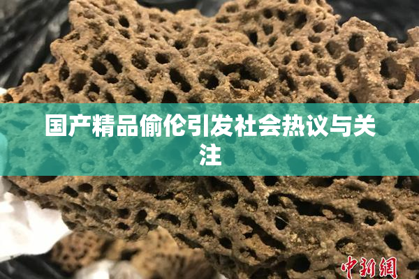 国产精品偷伦引发社会热议与关注