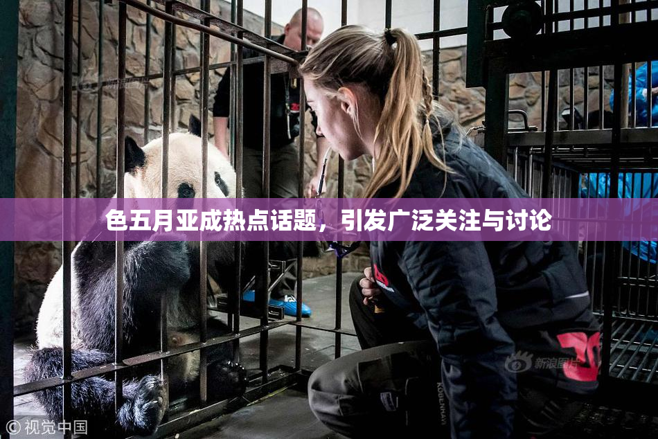 色五月亚成热点话题，引发广泛关注与讨论
