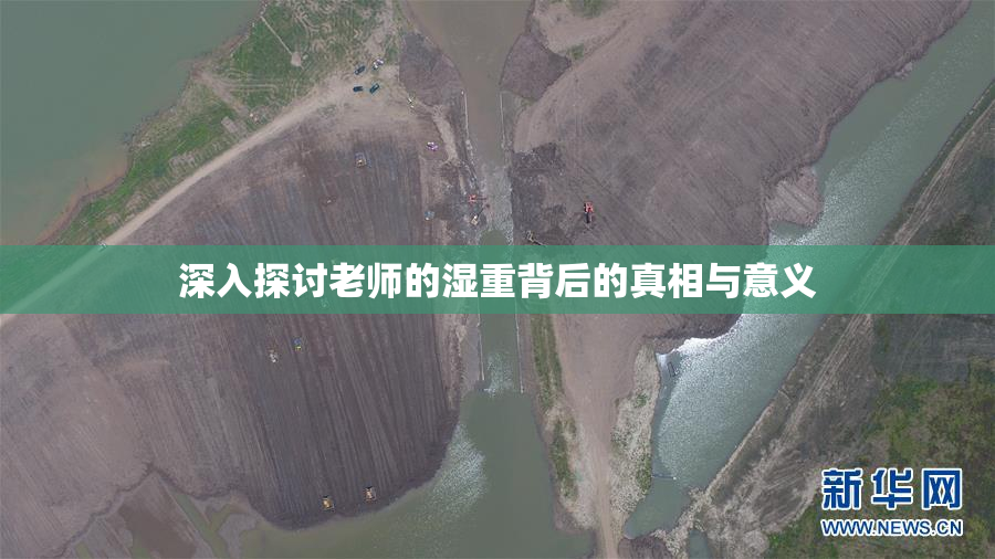 深入探讨老师的湿重背后的真相与意义