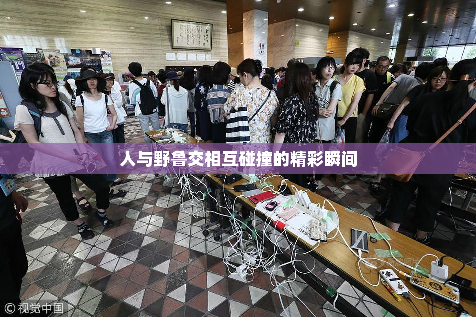 人与野鲁交相互碰撞的精彩瞬间