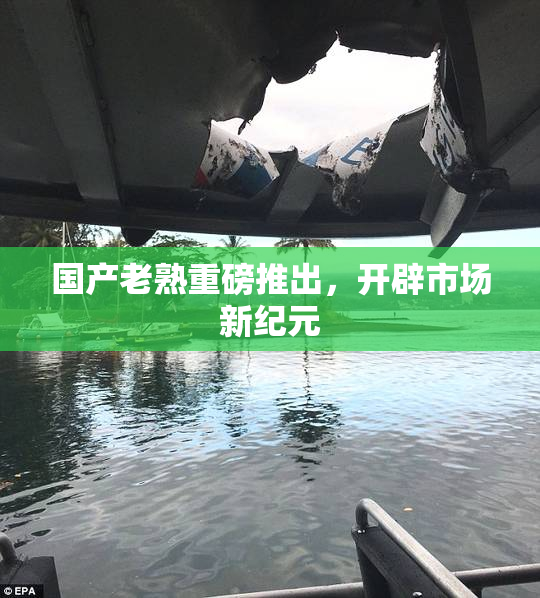 国产老熟重磅推出，开辟市场新纪元
