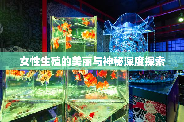 女性生殖的美丽与神秘深度探索