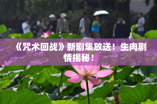 《咒术回战》新剧集放送！生肉剧情揭秘！