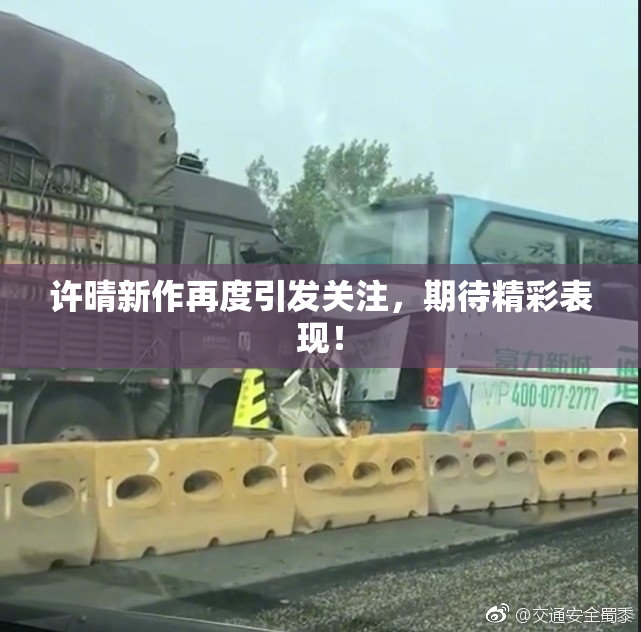 许晴新作再度引发关注，期待精彩表现！