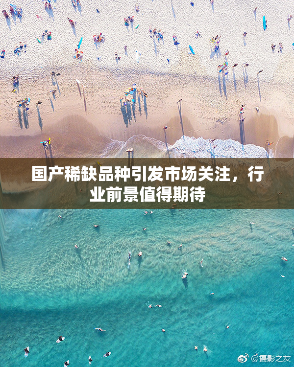 国产稀缺品种引发市场关注，行业前景值得期待