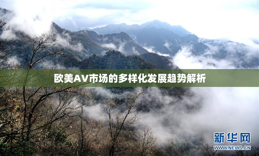 欧美AV市场的多样化发展趋势解析