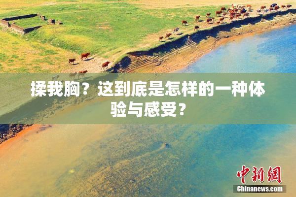 揉我胸？这到底是怎样的一种体验与感受？