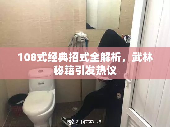 108式经典招式全解析，武林秘籍引发热议