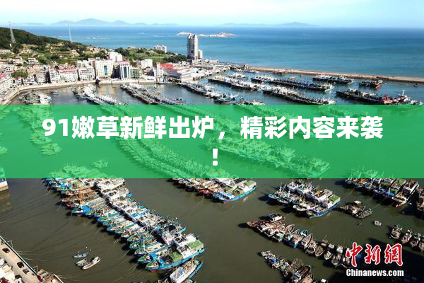 91嫩草新鲜出炉，精彩内容来袭！