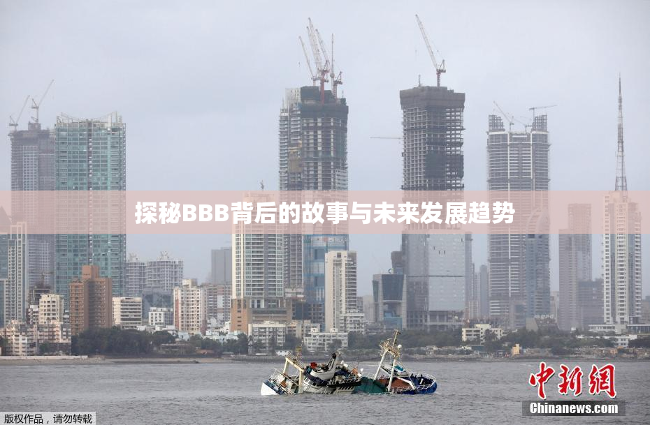 探秘BBB背后的故事与未来发展趋势