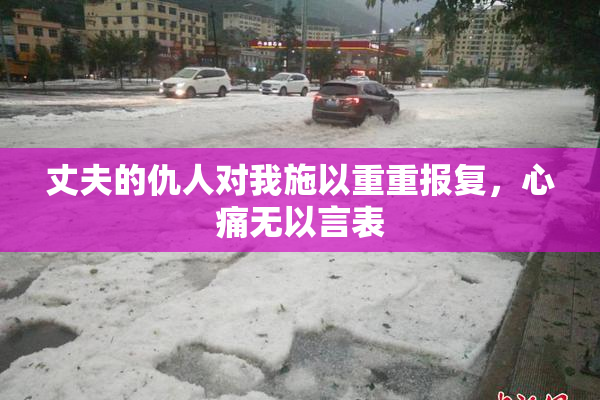 丈夫的仇人对我施以重重报复，心痛无以言表