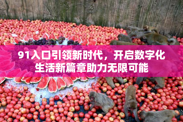 91入口引领新时代，开启数字化生活新篇章助力无限可能