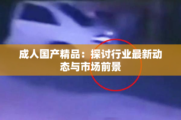 成人国产精品：探讨行业最新动态与市场前景