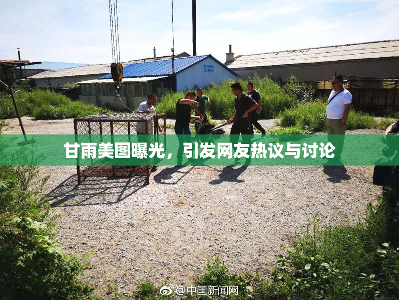 甘雨美图曝光，引发网友热议与讨论
