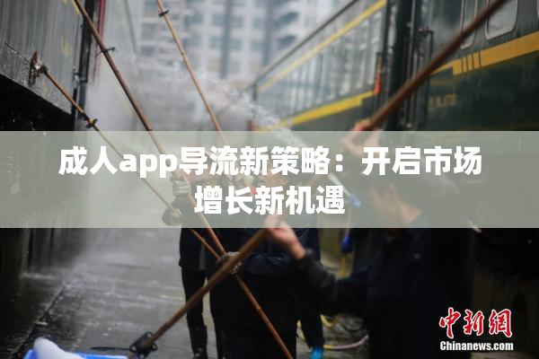 成人app导流新策略：开启市场增长新机遇