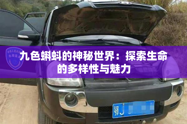 九色蝌蚪的神秘世界：探索生命的多样性与魅力
