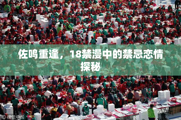 佐鸣重逢，18禁漫中的禁忌恋情探秘