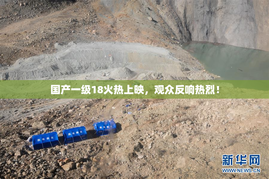国产一级18火热上映，观众反响热烈！