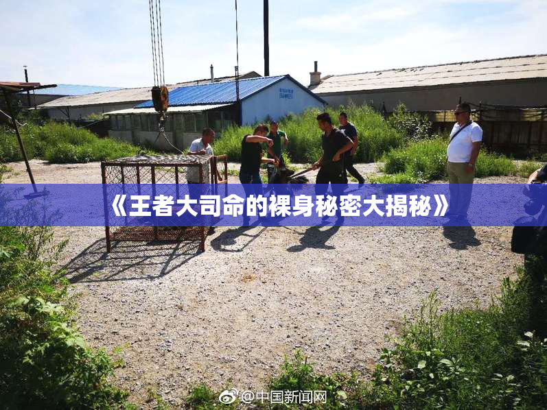 《王者大司命的裸身秘密大揭秘》