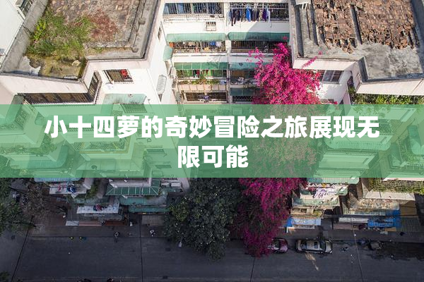 小十四萝的奇妙冒险之旅展现无限可能