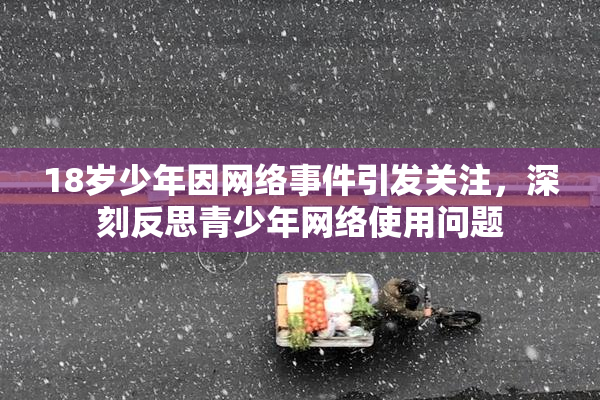 18岁少年因网络事件引发关注，深刻反思青少年网络使用问题