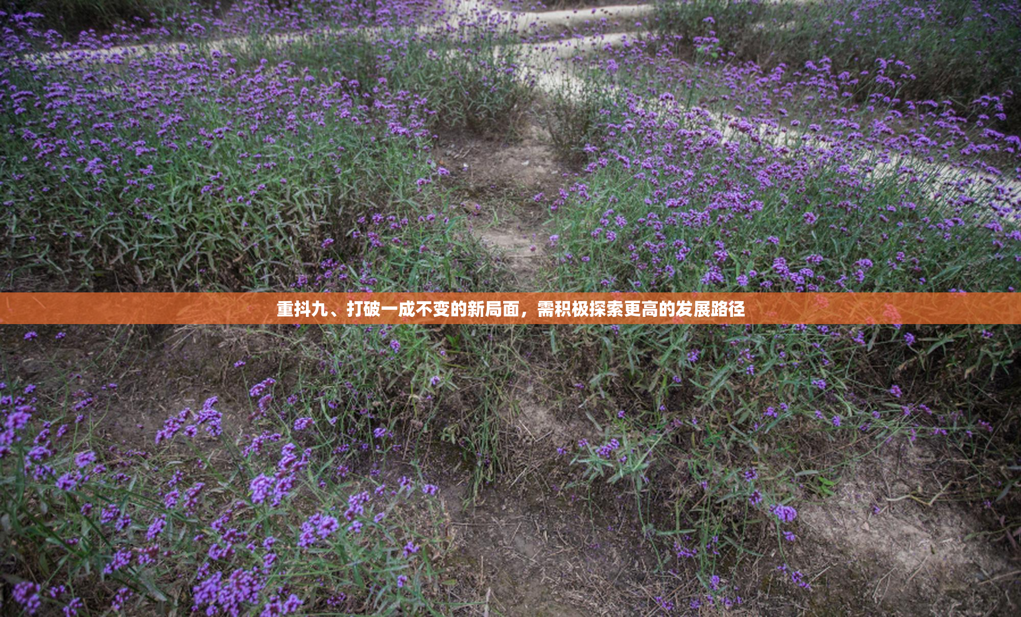 重抖九、打破一成不变的新局面，需积极探索更高的发展路径