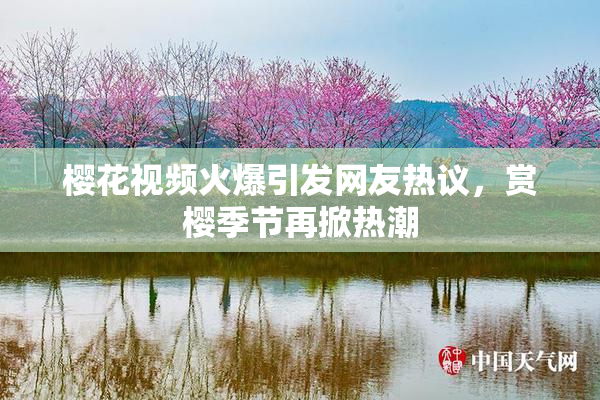 樱花视频火爆引发网友热议，赏樱季节再掀热潮