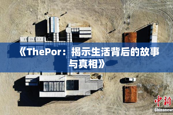 《ThePor：揭示生活背后的故事与真相》
