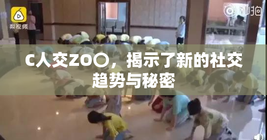 C人交ZO〇，揭示了新的社交趋势与秘密
