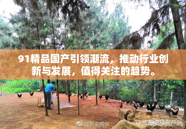 91精品国产引领潮流，推动行业创新与发展，值得关注的趋势。