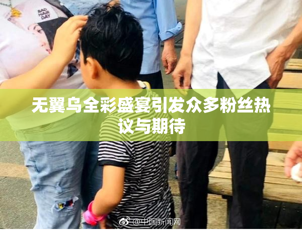 无翼乌全彩盛宴引发众多粉丝热议与期待