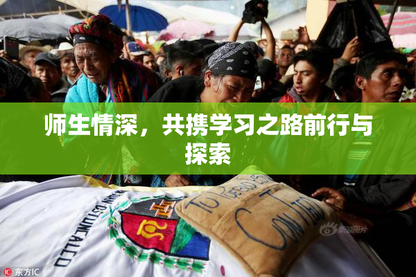 师生情深，共携学习之路前行与探索