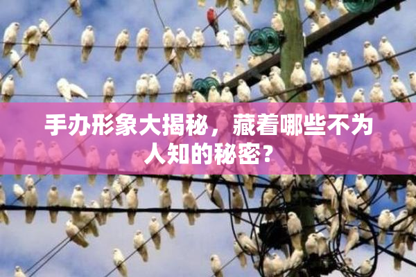 手办形象大揭秘，藏着哪些不为人知的秘密？