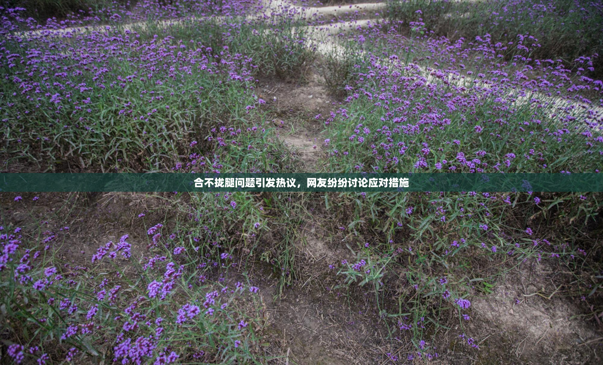 合不拢腿问题引发热议，网友纷纷讨论应对措施