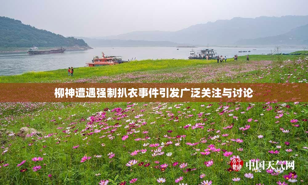 柳神遭遇强制扒衣事件引发广泛关注与讨论